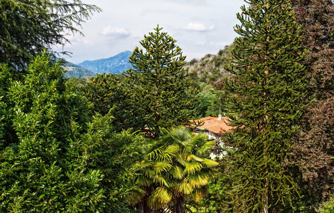 Hotel Alpino 3*